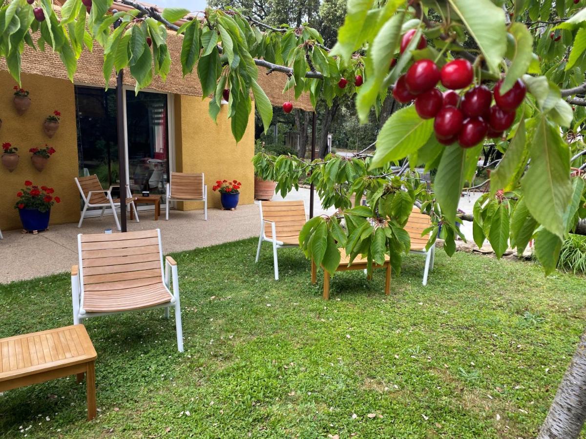 Logis La Bastide De Grignan Hotel & Restaurant "La Chenaie" Exteriér fotografie