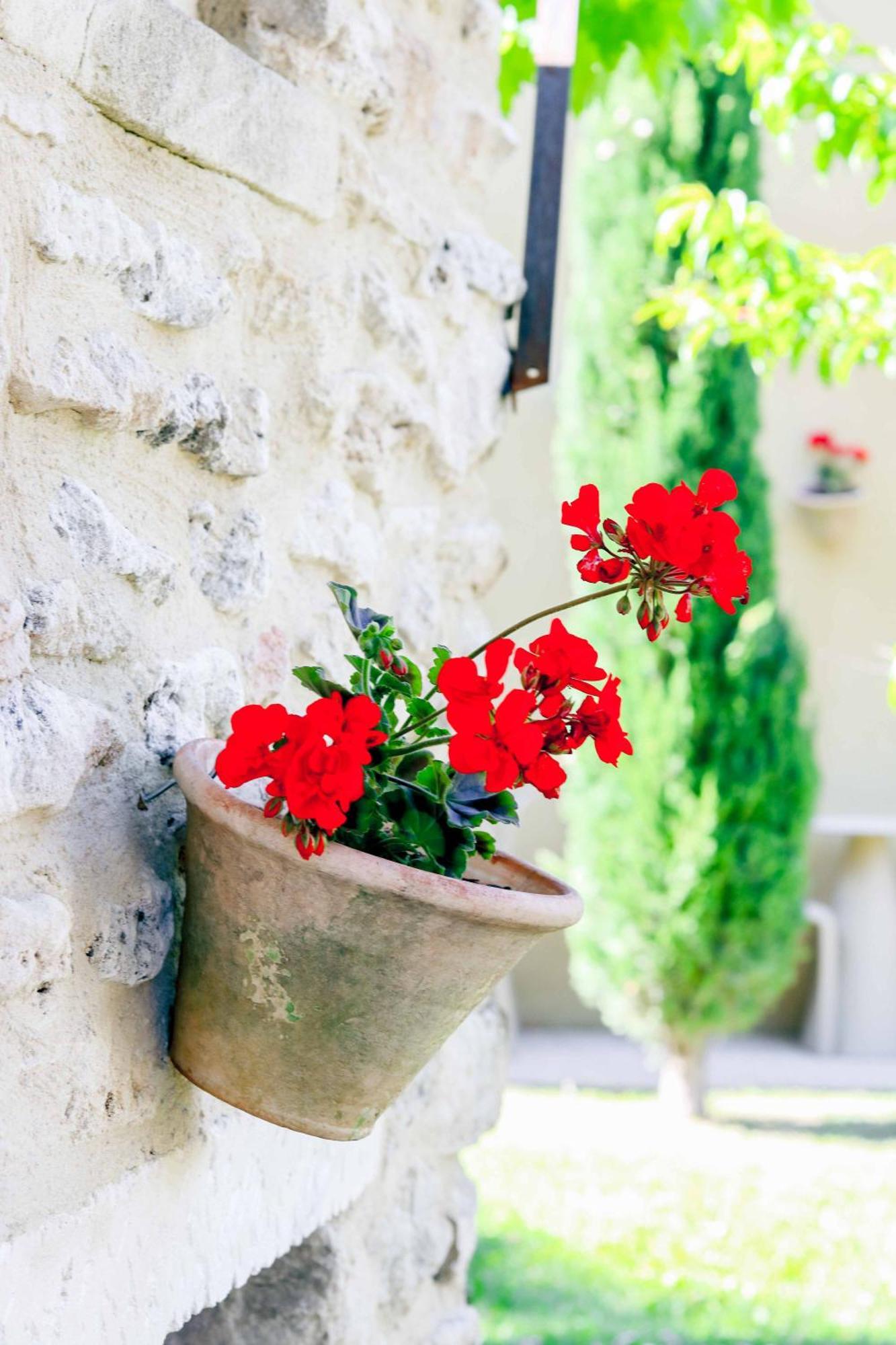 Logis La Bastide De Grignan Hotel & Restaurant "La Chenaie" Exteriér fotografie