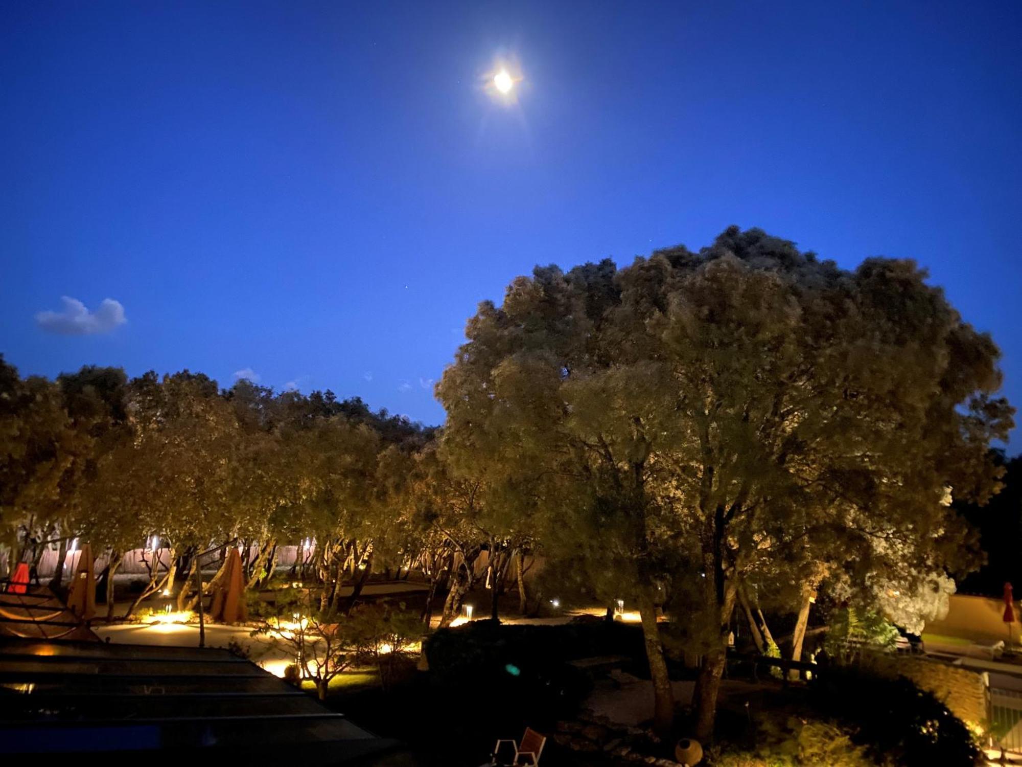 Logis La Bastide De Grignan Hotel & Restaurant "La Chenaie" Exteriér fotografie